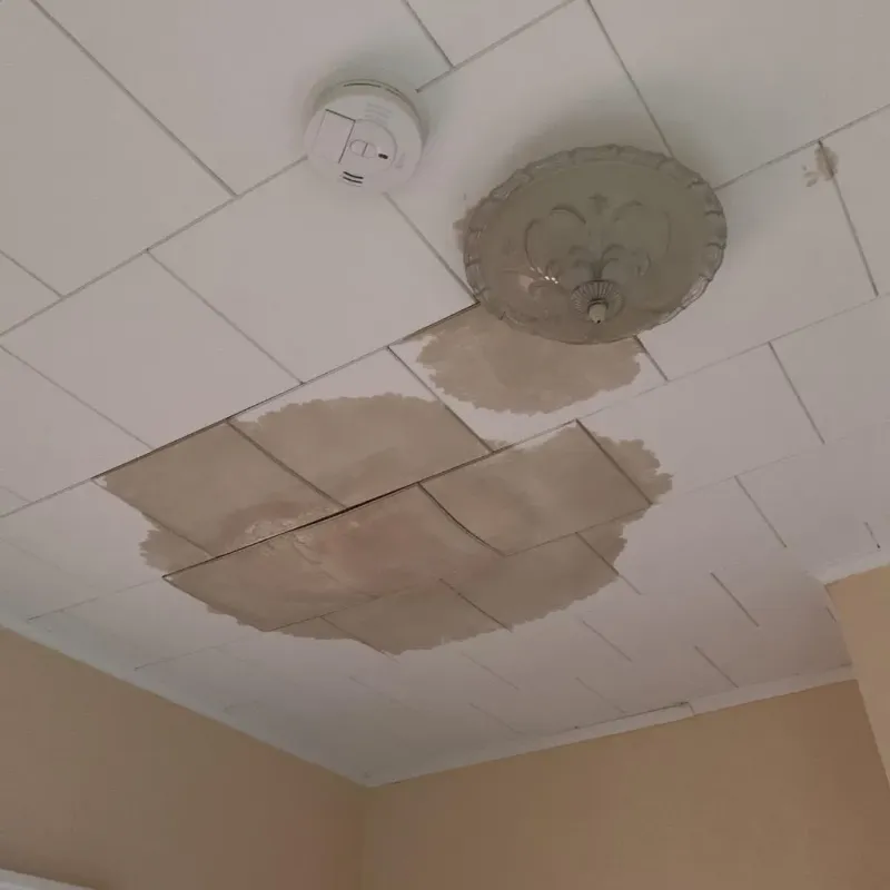 Ceiling Water Damage Repair in Furnas County, NE