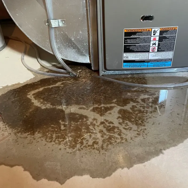 Pipe Burst and Leak Restoration in Furnas County, NE