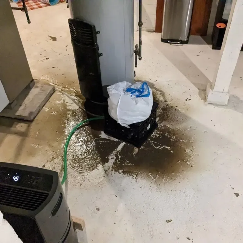 Sewage Backup Cleanup Service in Furnas County, NE